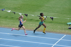 Enlarge photo 151