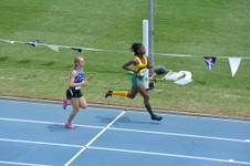 Enlarge photo 156