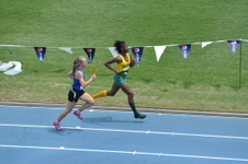 Enlarge photo 161