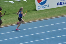 Enlarge photo 175
