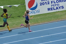Enlarge photo 177