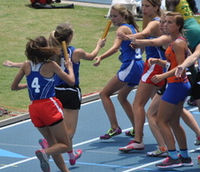 Enlarge photo 202