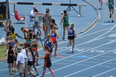 Enlarge photo 219