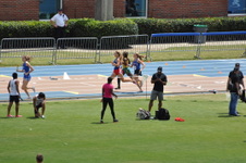 Enlarge photo 231