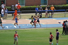 Enlarge photo 233