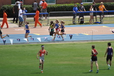 Enlarge photo 234