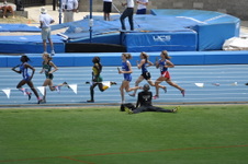 Enlarge photo 237