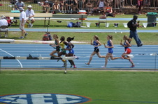 Enlarge photo 242