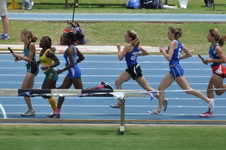 Enlarge photo 240