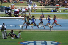 Enlarge photo 241