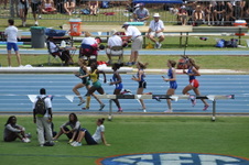 Enlarge photo 243
