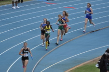 Enlarge photo 247