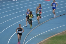 Enlarge photo 248