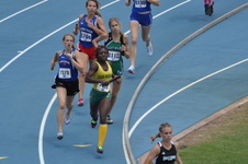 Enlarge photo 249