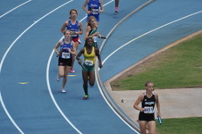 Enlarge photo 252