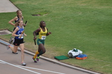 Enlarge photo 253