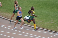 Enlarge photo 258