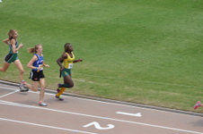 Enlarge photo 256
