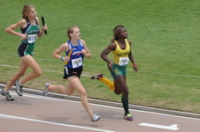 Enlarge photo 257