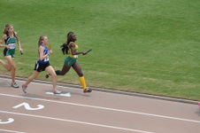 Enlarge photo 259