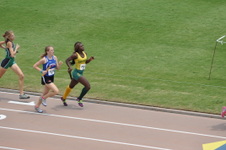 Enlarge photo 260