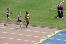 Enlarge photo 261