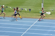 Enlarge photo 263