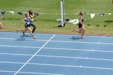 Enlarge photo 264