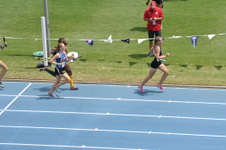 Enlarge photo 266