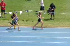 Enlarge photo 269