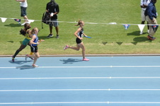 Enlarge photo 271