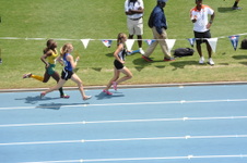 Enlarge photo 273