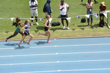 Enlarge photo 274