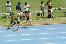 Enlarge photo 275
