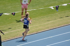 Enlarge photo 291
