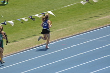 Enlarge photo 295