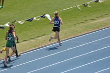 Enlarge photo 296