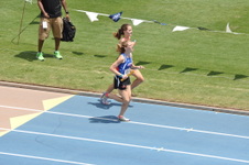 Enlarge photo 329