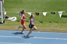 Enlarge photo 334