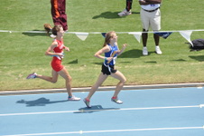 Enlarge photo 337