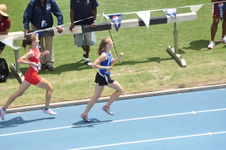 Enlarge photo 342