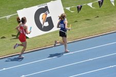 Enlarge photo 352
