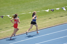 Enlarge photo 354