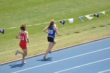 Enlarge photo 355