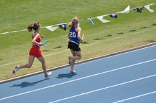 Enlarge photo 356