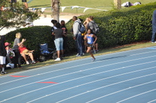 Enlarge photo 399
