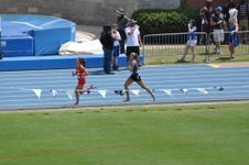 Enlarge photo 419