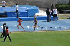 Enlarge photo 422