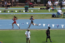 Enlarge photo 432