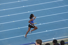 Enlarge photo 442